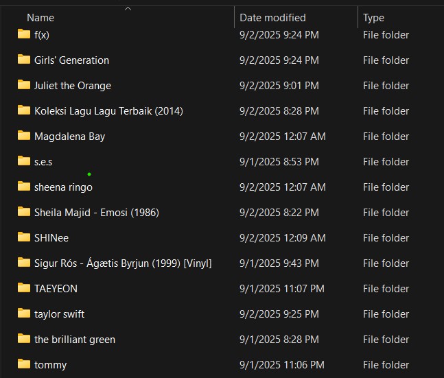 image of my questionable music taste